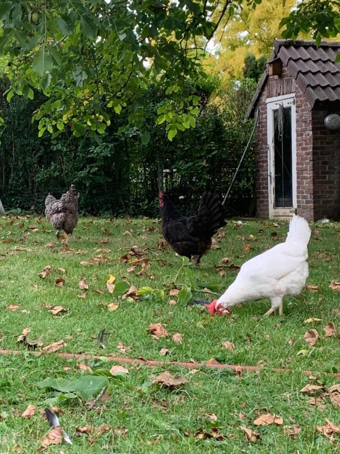 Leuk Vakantiehuisje 6P Brunssum Exterior foto